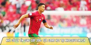 Truy cập nhà cái nhanh trong 30s qua link nhacaiuytin1.cx