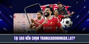 Lý do trang web cá độ bóng đá luôn được là lựa chọn hàng đầu