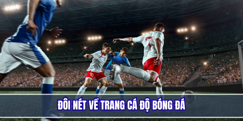 Đôi điều cần biết về trang cá độ bóng đá