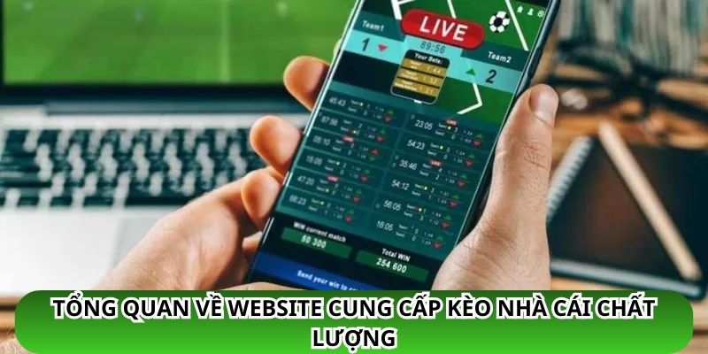 Tổng quan về website cung cấp kèo nhà cái chất lượng