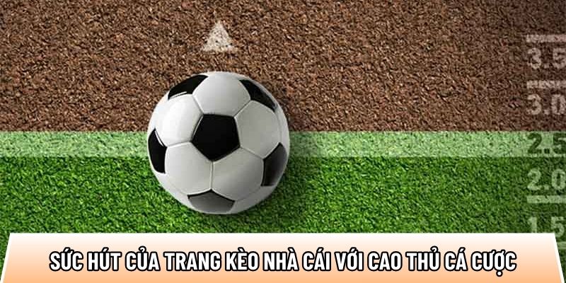 Điều gì làm nên sức hút của trang kèo nhà cái với cao thủ cá cược